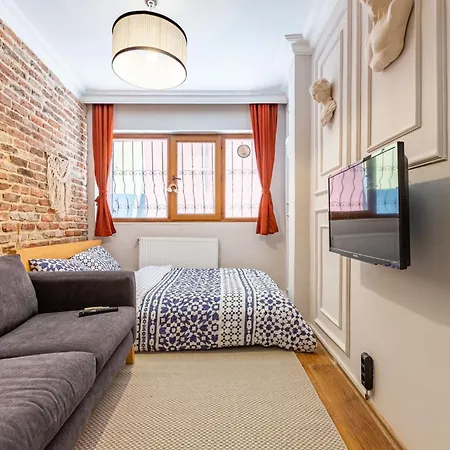 公寓 Altinbakkal Sokak Apartmnets 伊斯坦布尔