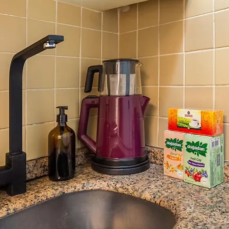 公寓 Altinbakkal Sokak Apartmnets